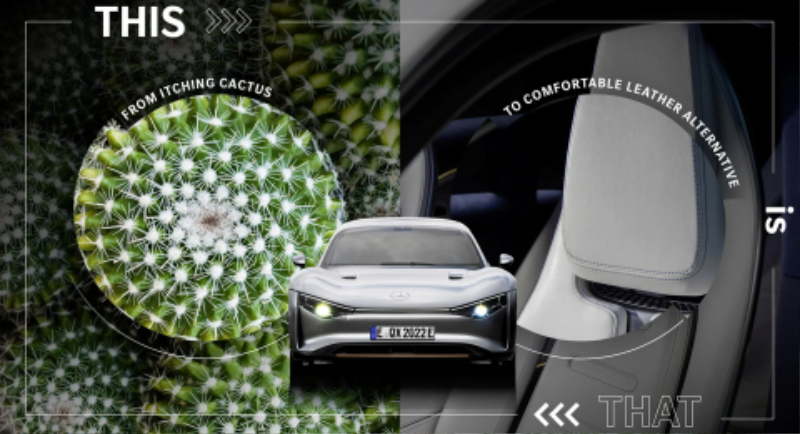 2022-Mercedes-Renewable-Materials-3.jpg